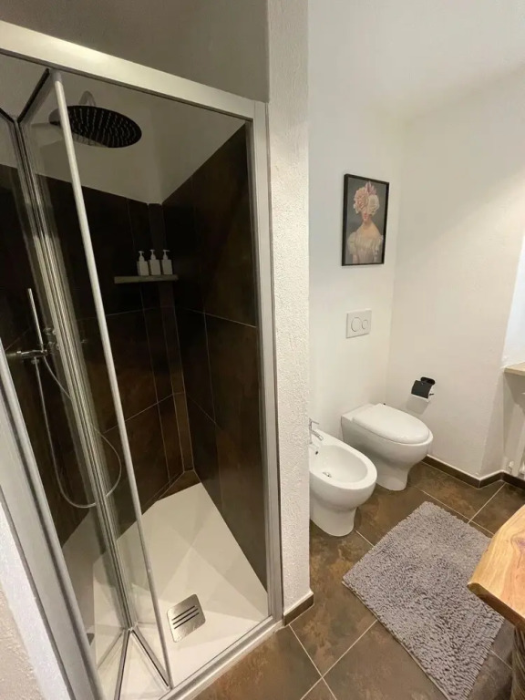 New Newly Renovated Apartment Palleusieux