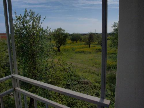 Casa Vacanze Mandorlo in Fiore