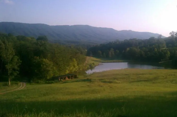 Misty Meadow Farm & Cabin