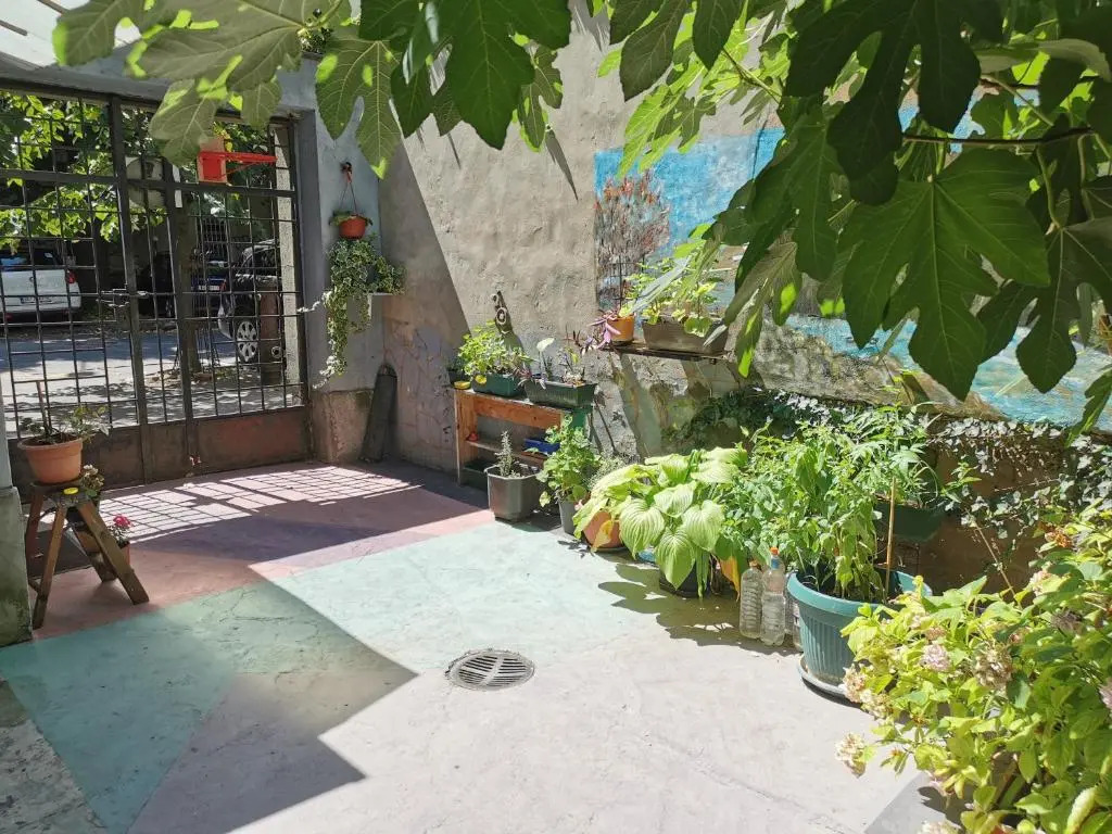 Cosy Garden apartment, center