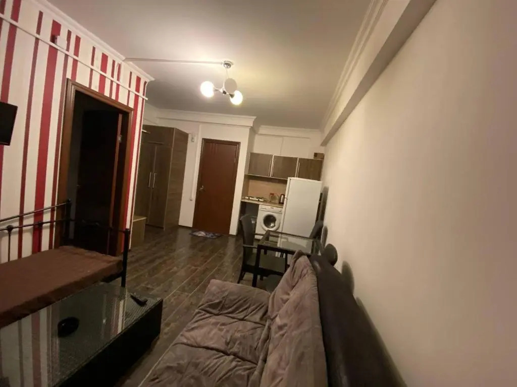 Mgzavrebi Bakuriani. Apartment #202