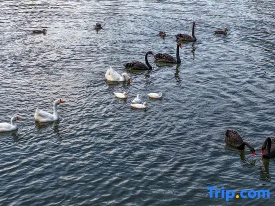 Yanshan Qiandao Lake Resort Vignette Collection