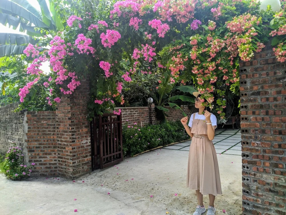 Tam Coc Heart Homestay
