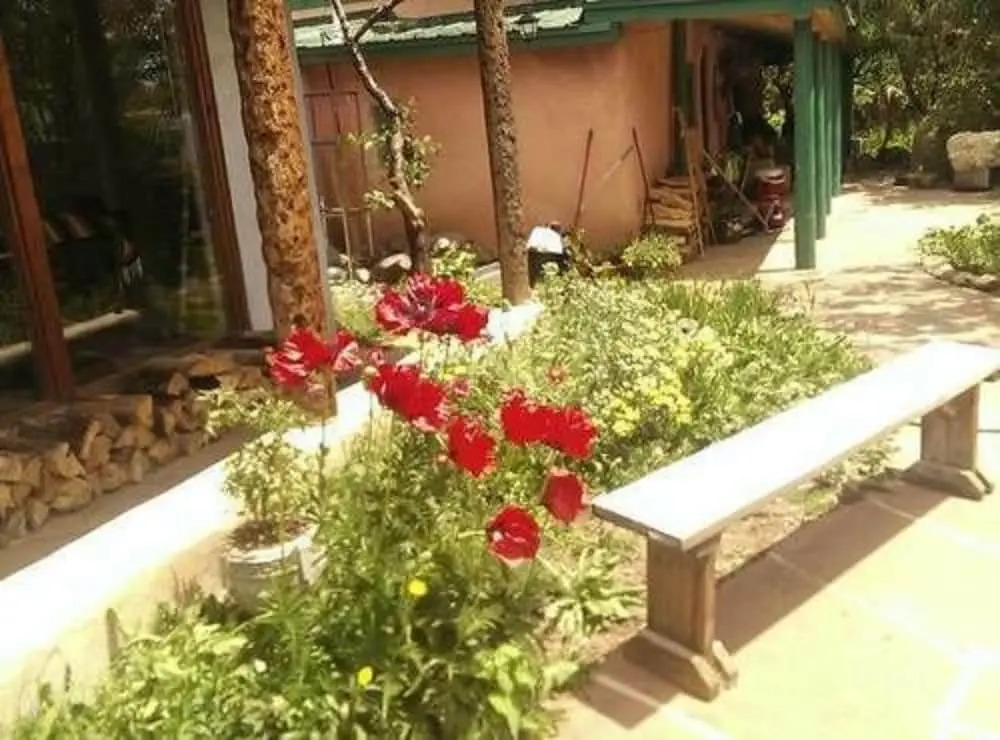 Royal Bear Lodge
