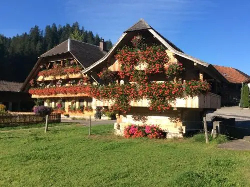 Emme Lodge