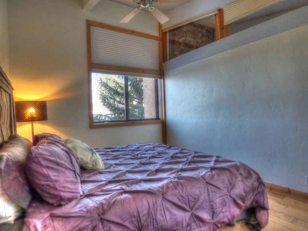 Lift Tickets Ski-in-out Mnt Side Wifi, Fireplace, Clubhousewinter Shuttle