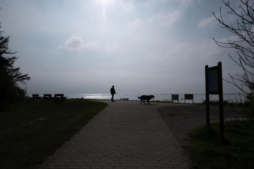 Gold Fehmarn