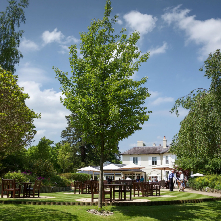 The Vineyard Hotel