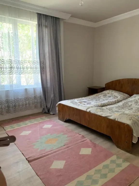 Panorama ananuri guest house