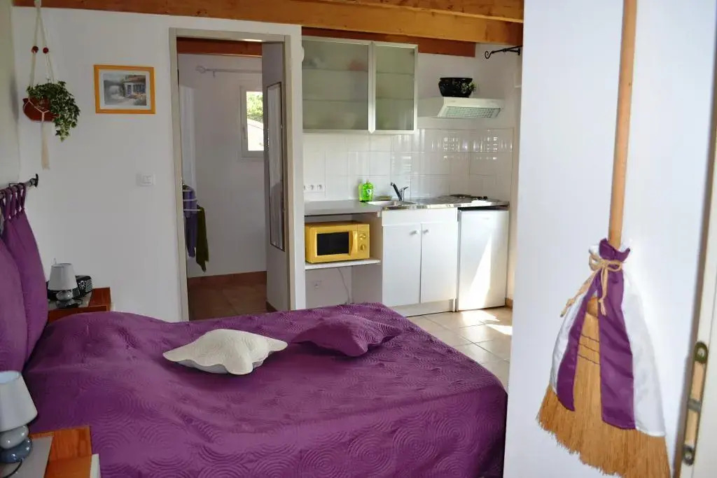 Chambre du Raisin