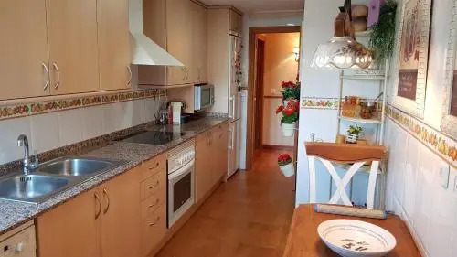 Beach Penthouse Apartment Benidorm Cala