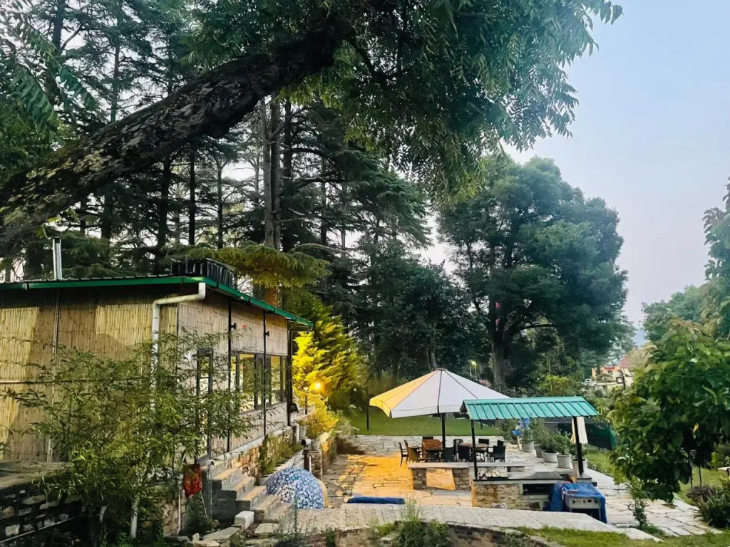 Deodar Homestay