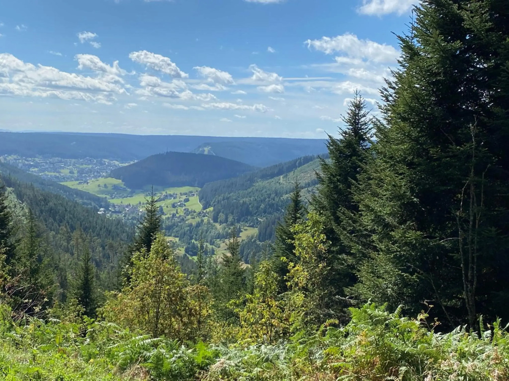 Ferienwohnung am Hirschkopf