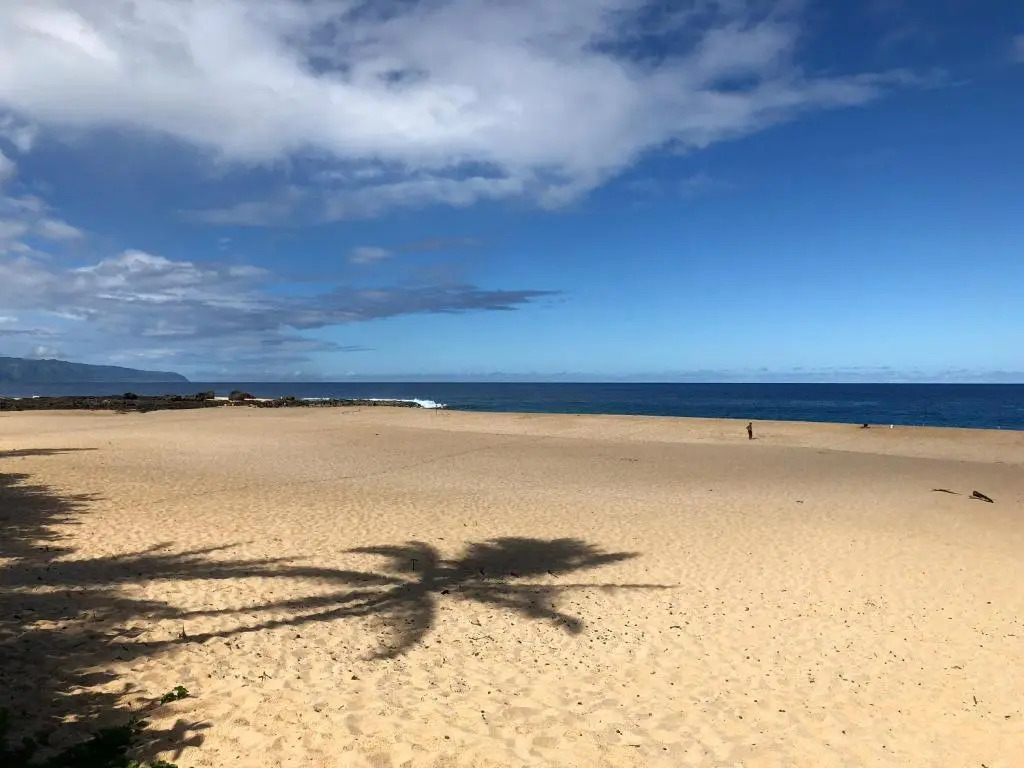 Beach Side Studio by Shark's Cove
