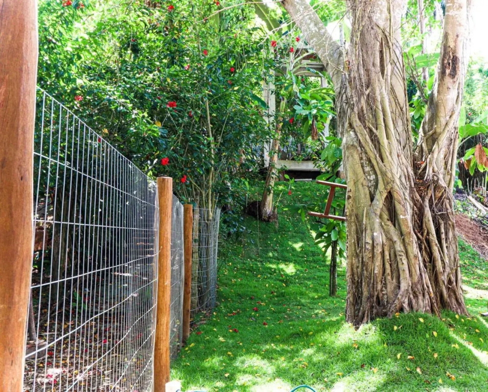 Campos Elísios Boipeba