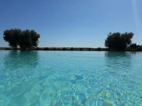 Terras - Agroturismo & Vinhos
