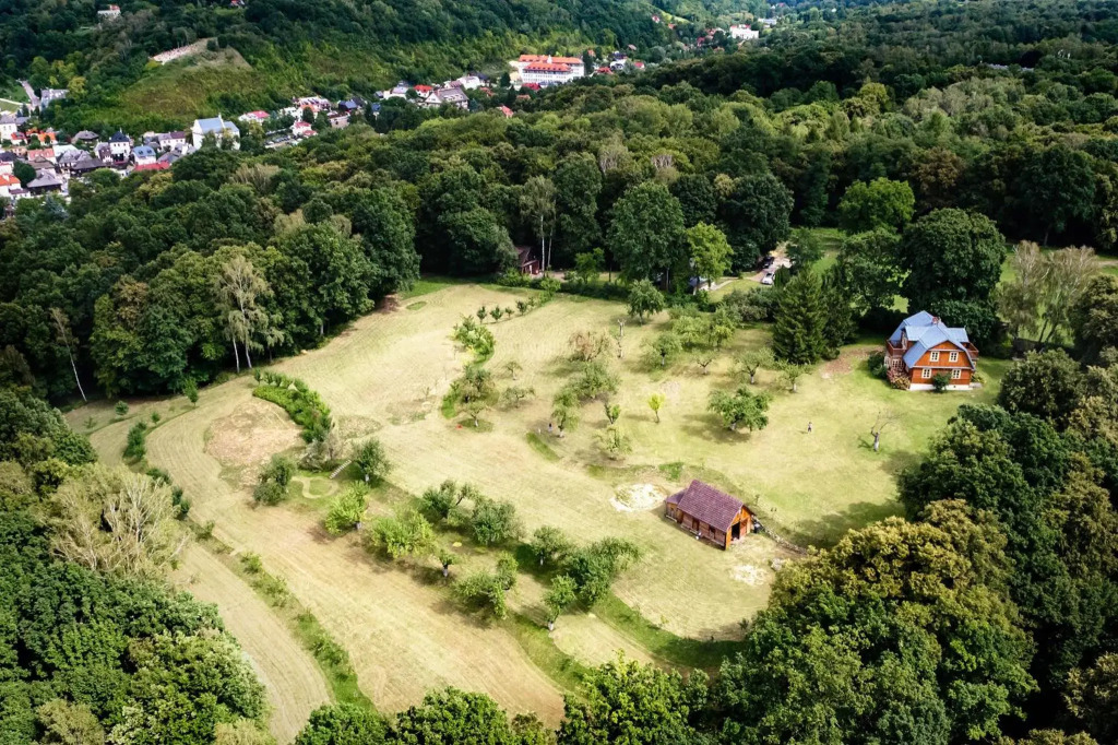 Morelówka