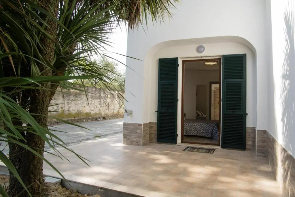 B&B Zac House