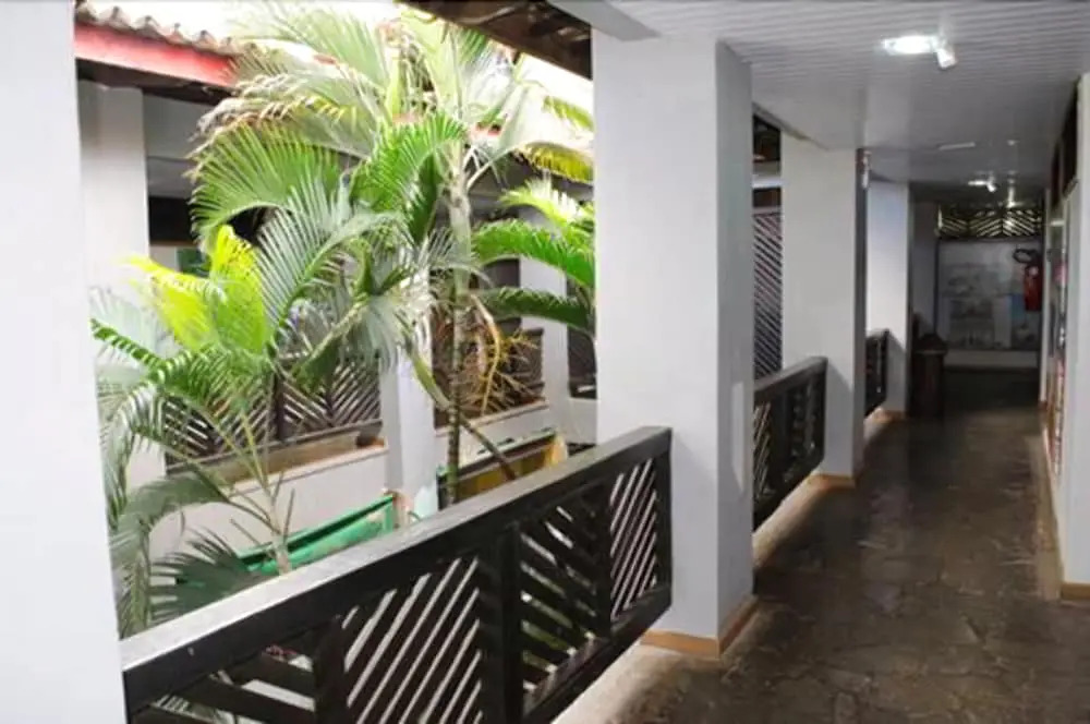 Corsario Tropical
