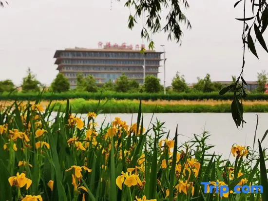 Shungeng Manor Ecological Park
