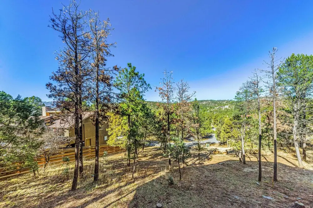 Day Trip to Ski Apache! Mtn-view Ruidoso Home