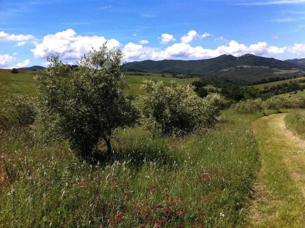 La Fattoria di Valentina