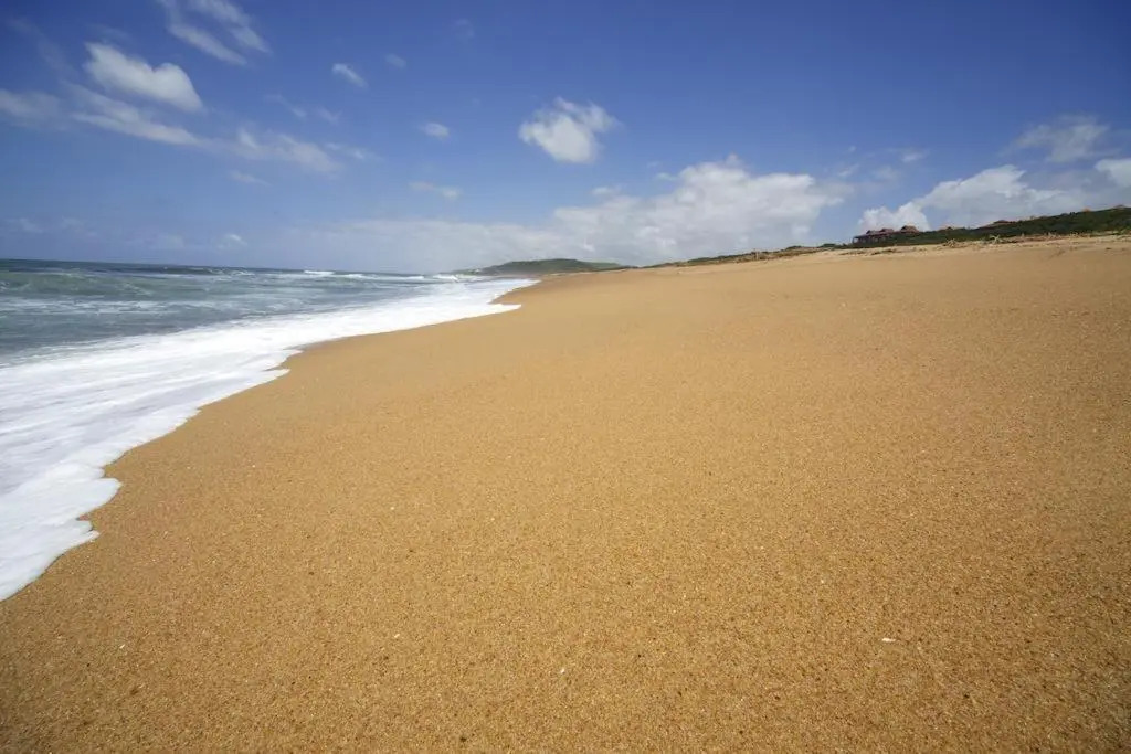 Zimbali Suite 224