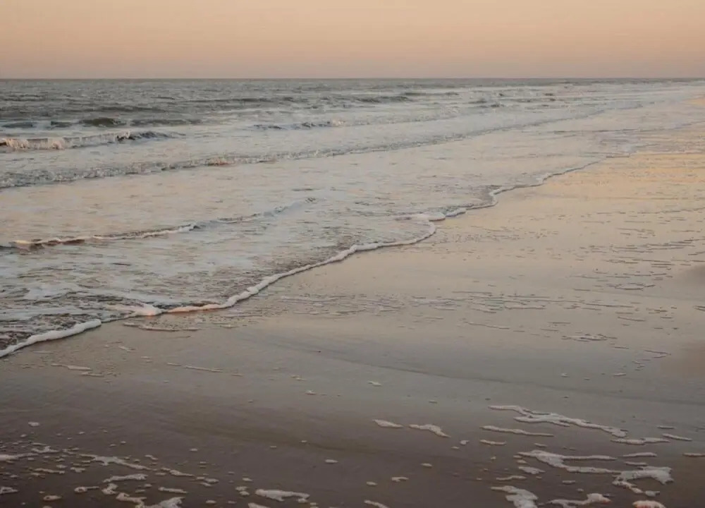 Apartment in Knokke-heist Near the Beach