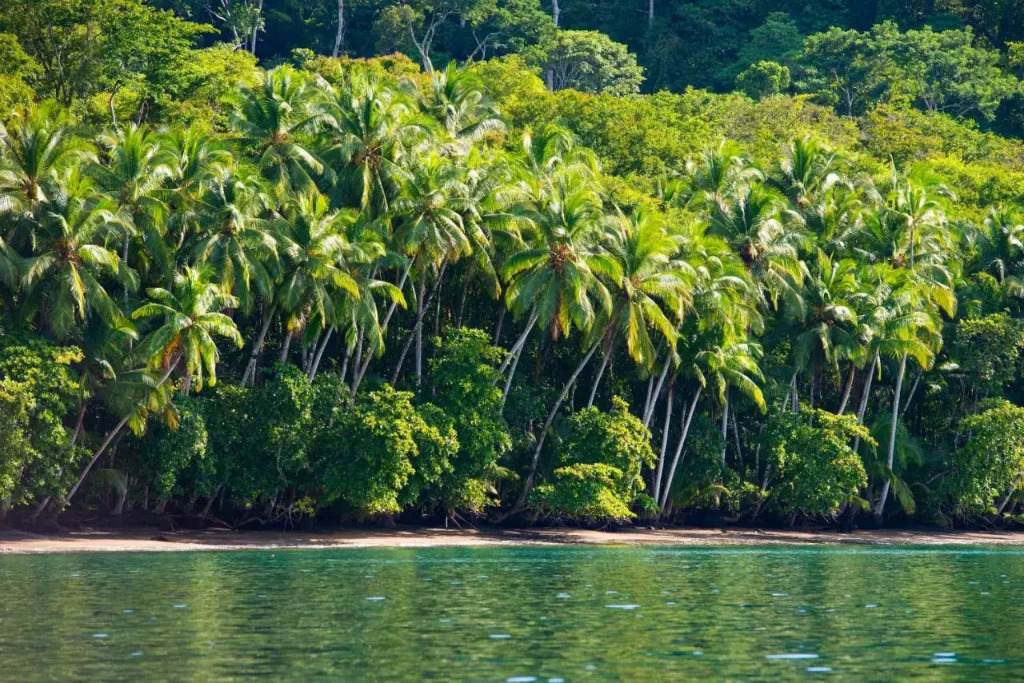 Playa Nicuesa Rainforest Eco Sanctuary