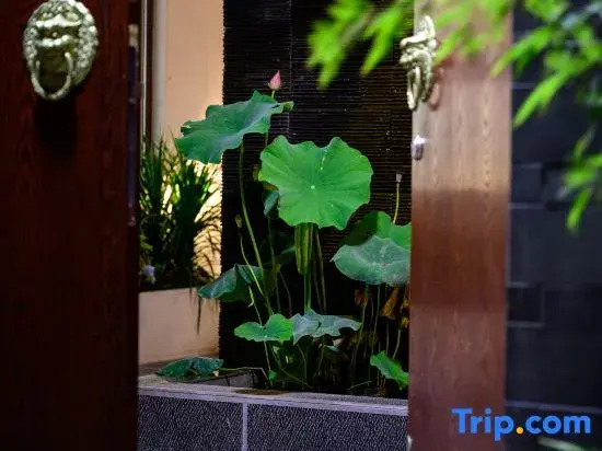 Lijiang · Cuiheyuan Green Peace Zen Retreat | Wellness | Courtyard-Style Hotel