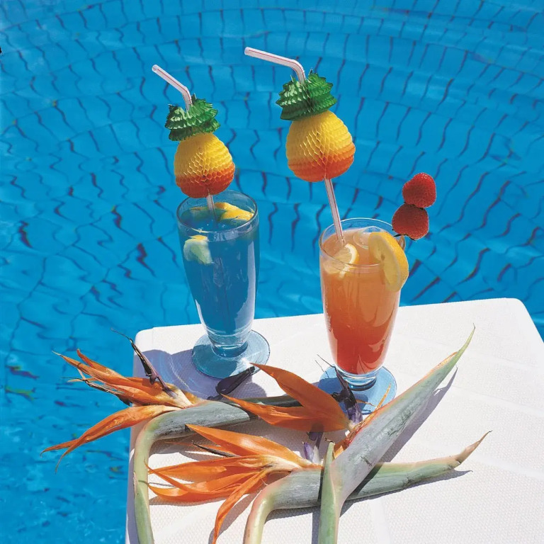 Hotel Calypso