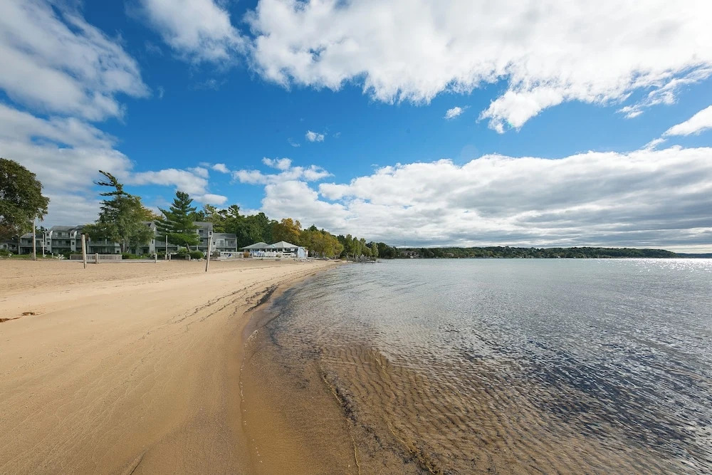 The Shores