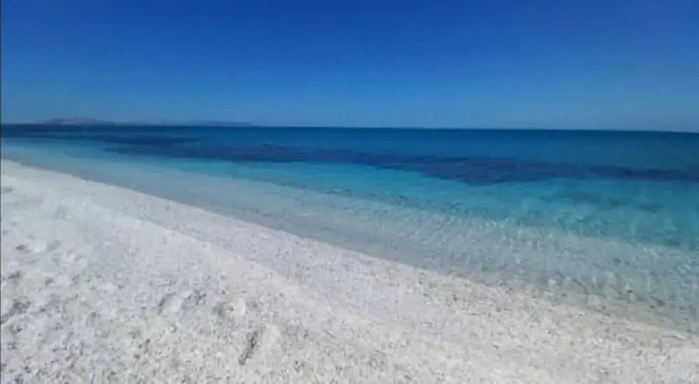 Sardinian Villa Enjoy Stintino With Your Pets !