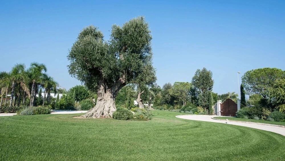 Relais Marchesi Imperiali B&b