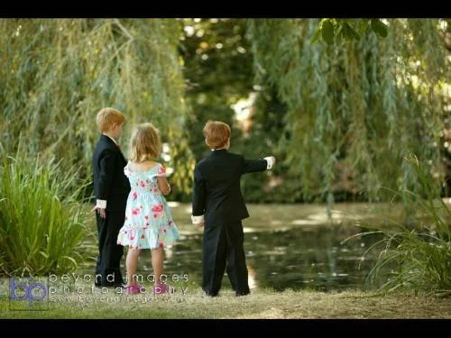 The Willows