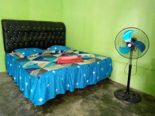Jungle Tribe Guesthouse