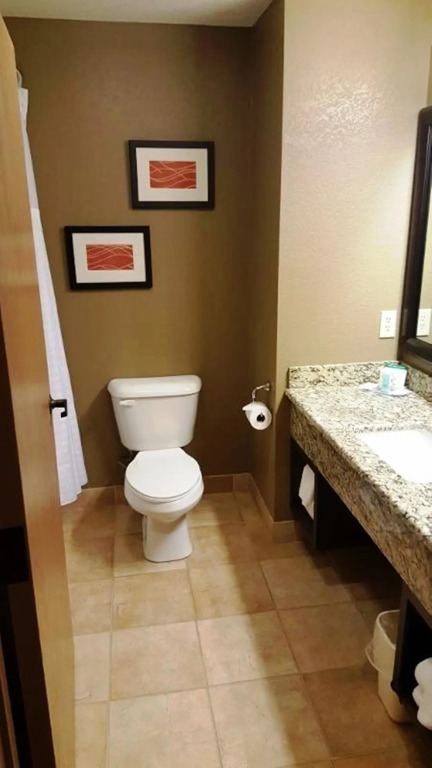 Comfort Inn Macon