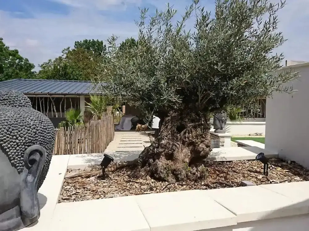 Magnificent Villa in Nuaille-d'aunis With Wellness