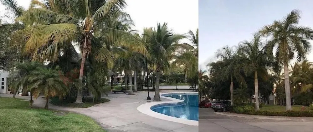 Casa Coto Sabalo