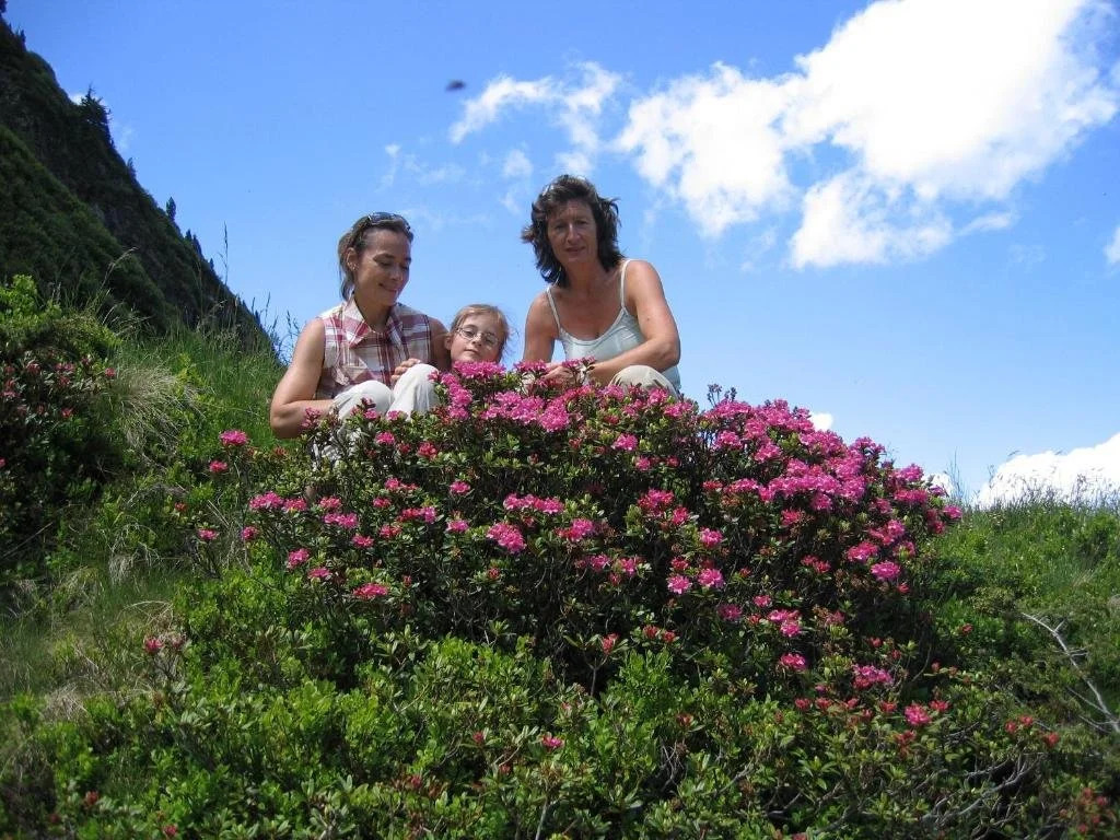 Bauernhof Haim-Schnepfleitner