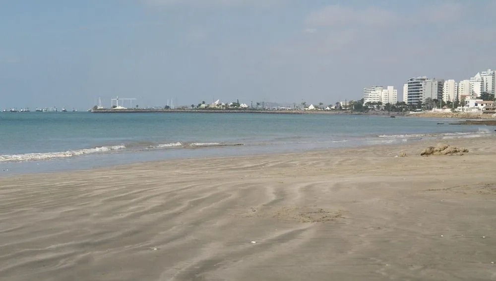 Hostal Palmeras Playa Milina
