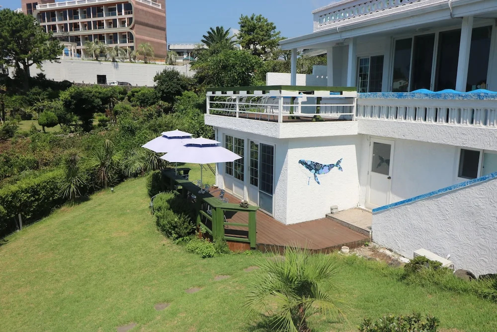 White Whale Guesthouse - Hostel