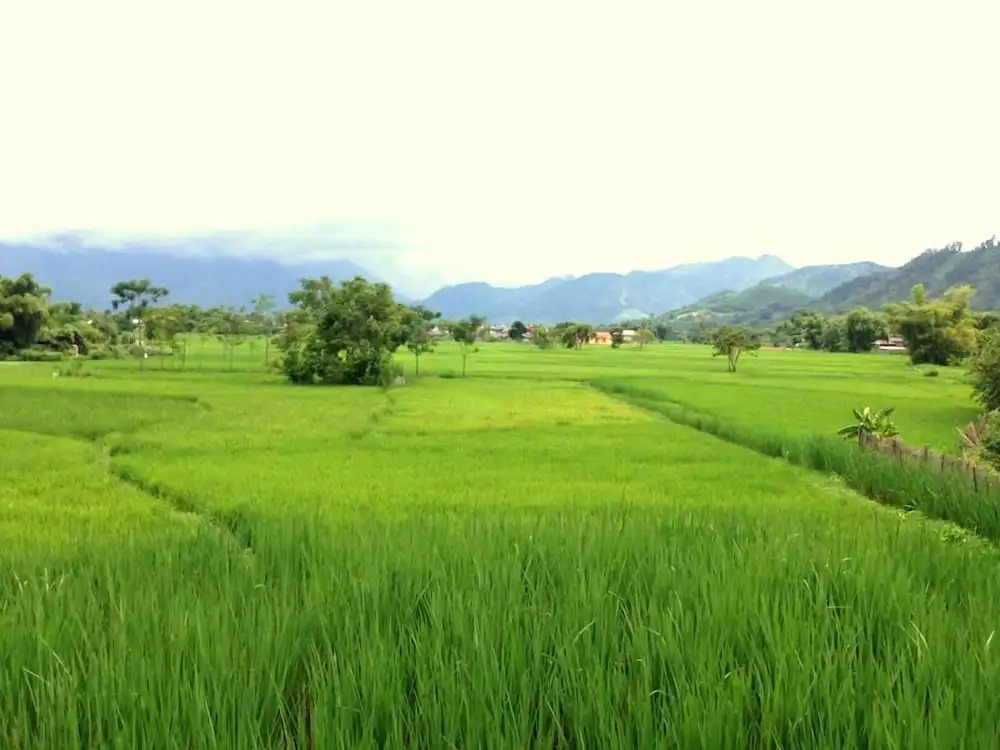 Ba Be Lake View Homestay