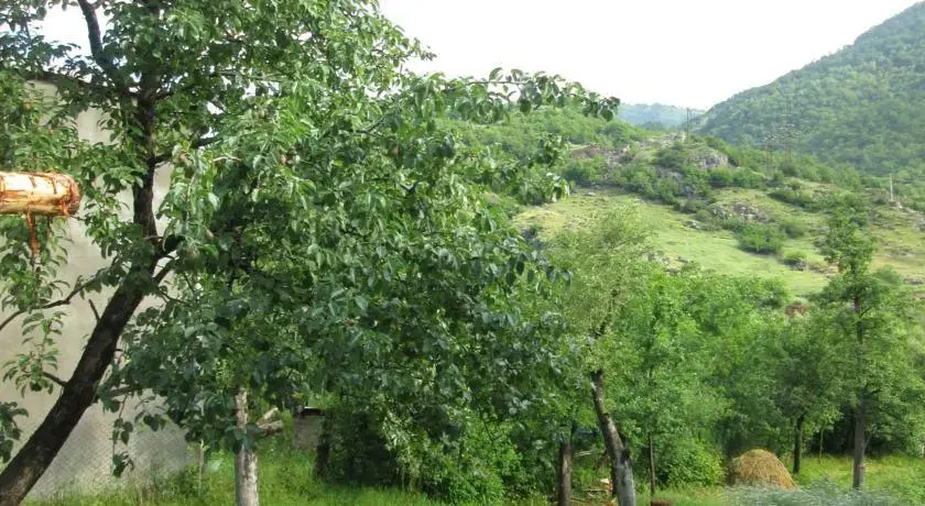 Guesthouse on Sayat Nova 85