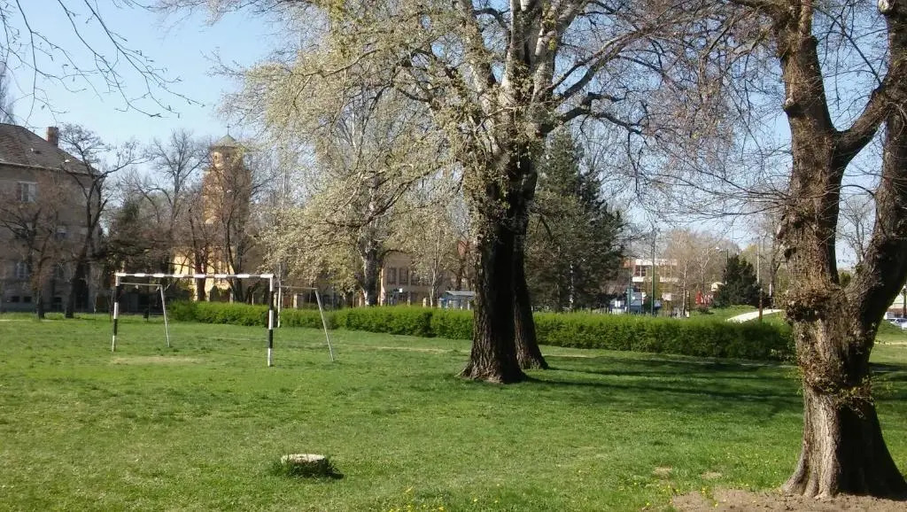 Szamóca Apartman