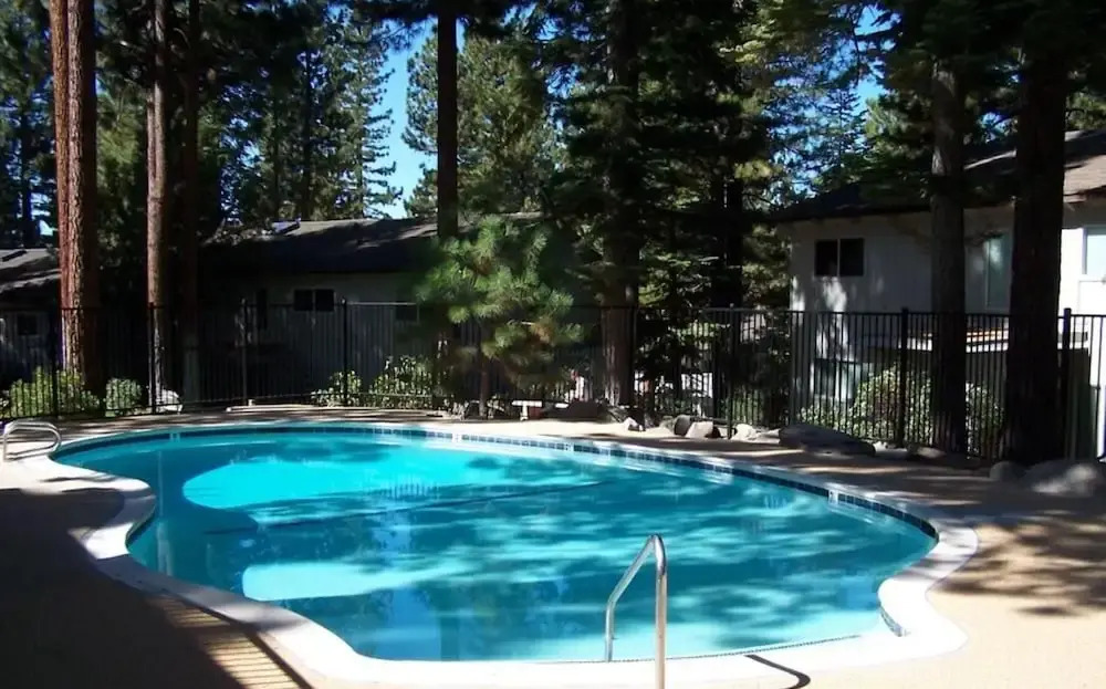 Cozy Bear Lodge