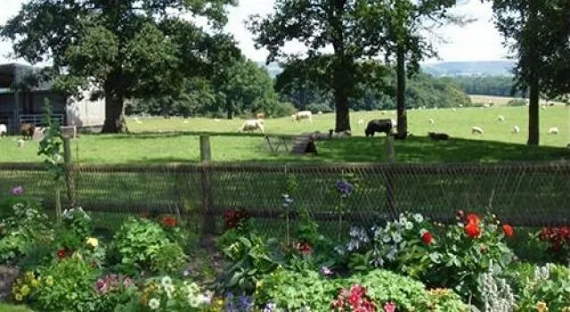 Yew Tree Farm