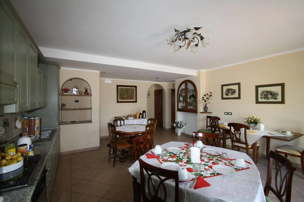 Rosa di Assisi