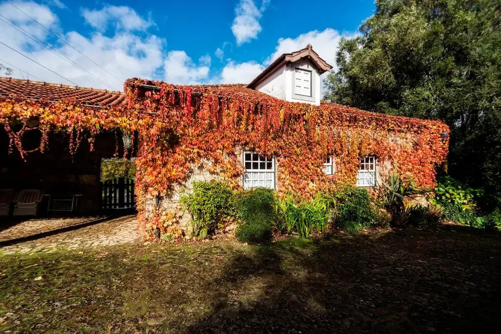 Quinta da Roseira