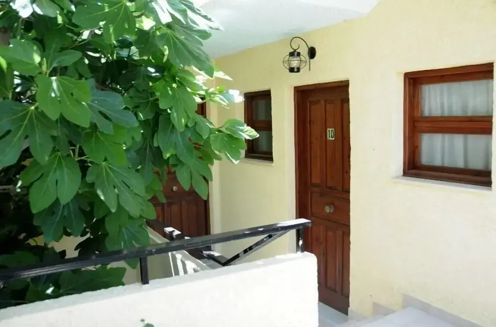 Senia Studios